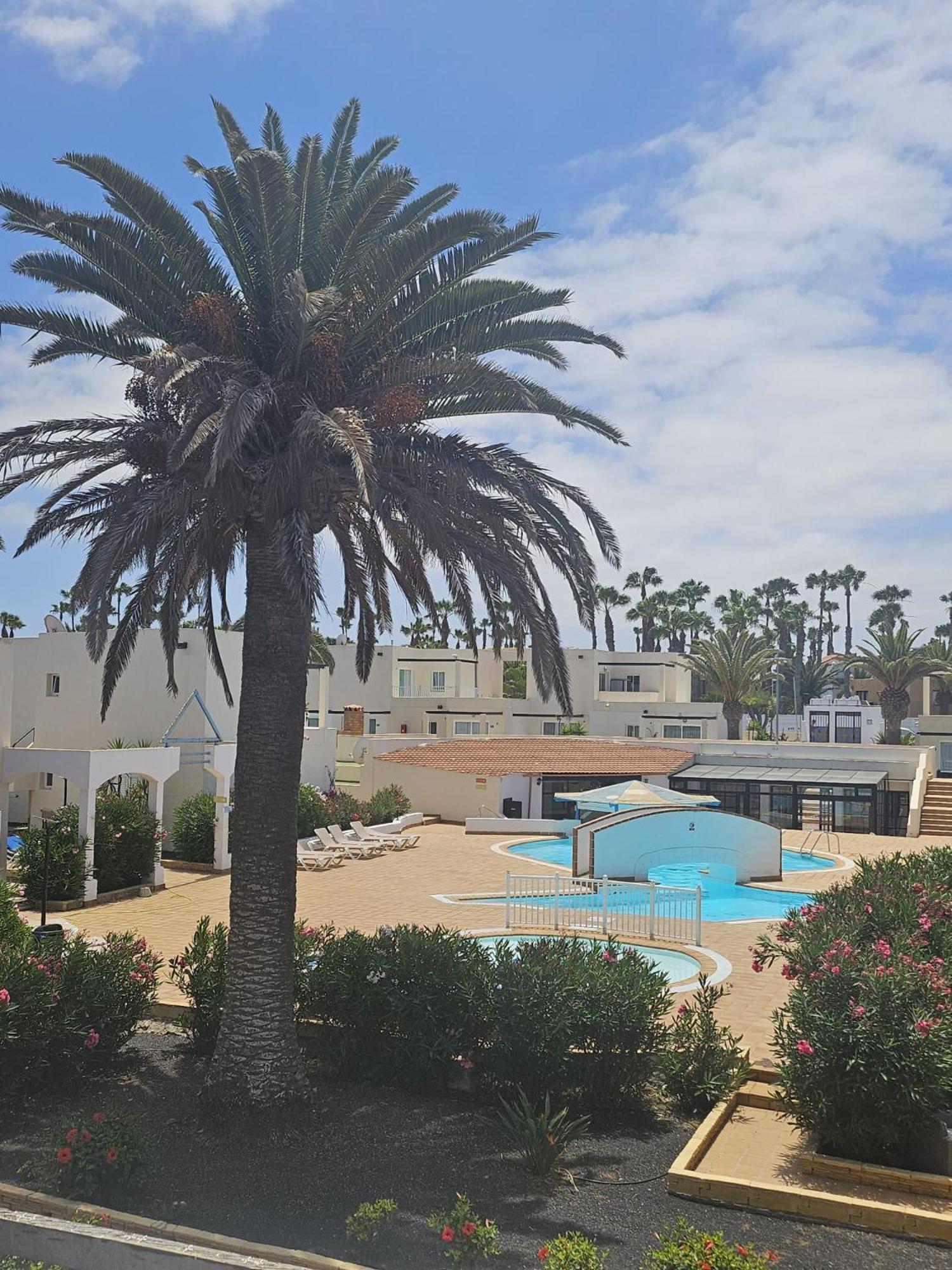 Alisios Playa Leilighet Corralejo Eksteriør bilde